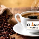 Champa Coffee" Chồn CULI"