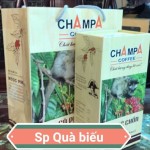 Champa Coffee" Chồn Robusta"